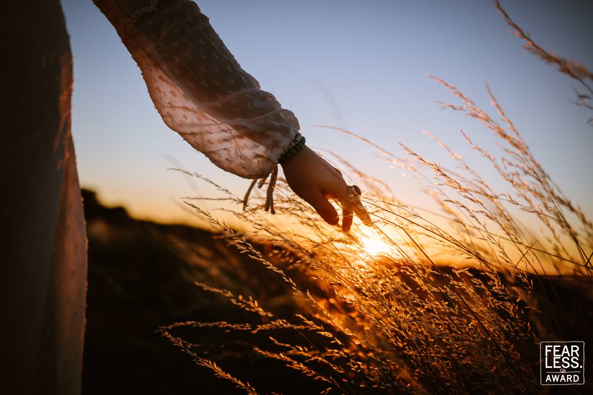 Ein weiterer Award für Patrick Engel Hochzeitsfotografie aus Aachen. Zu sehen ist die Hand einer Frau, die im Sonnenuntergang über ein Gerstenfeld streicht.